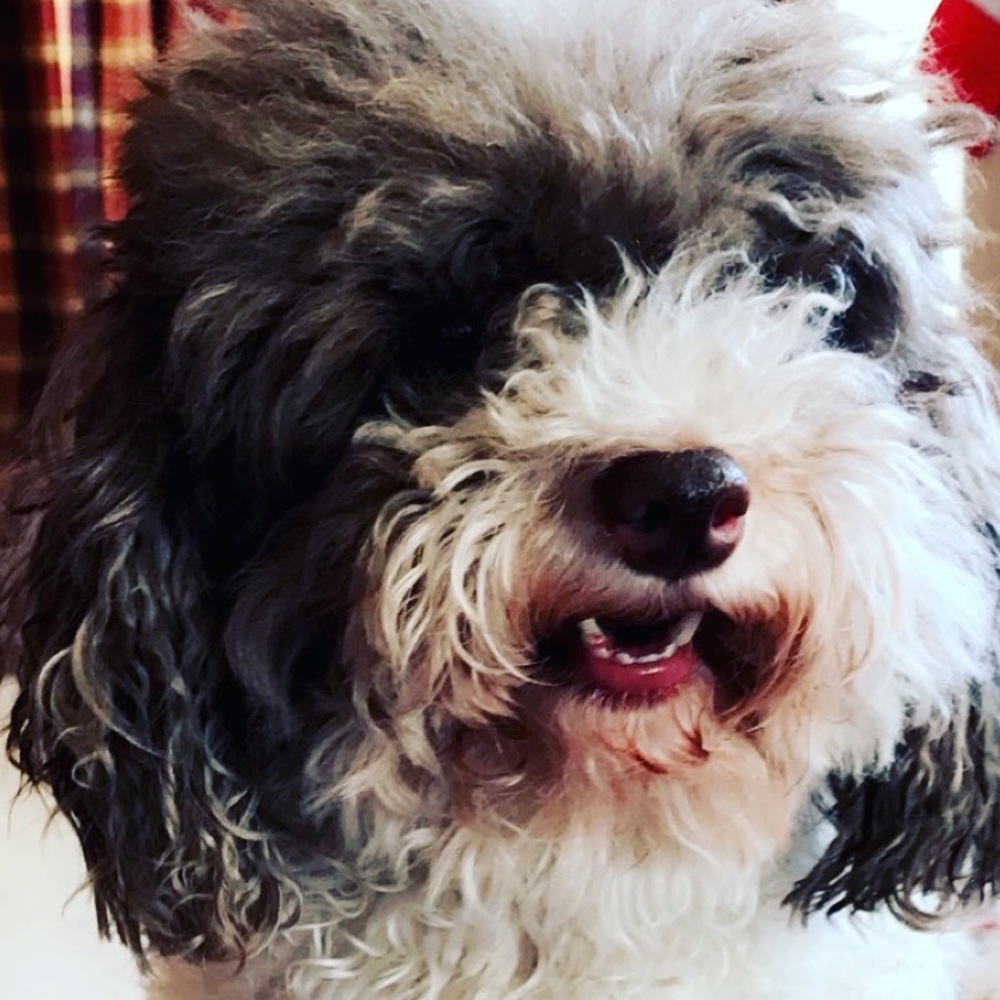 Meet your Posher, Cindy